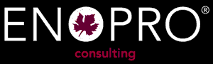 logo ENOPRO