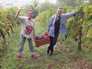 Lo stile Masciarelli